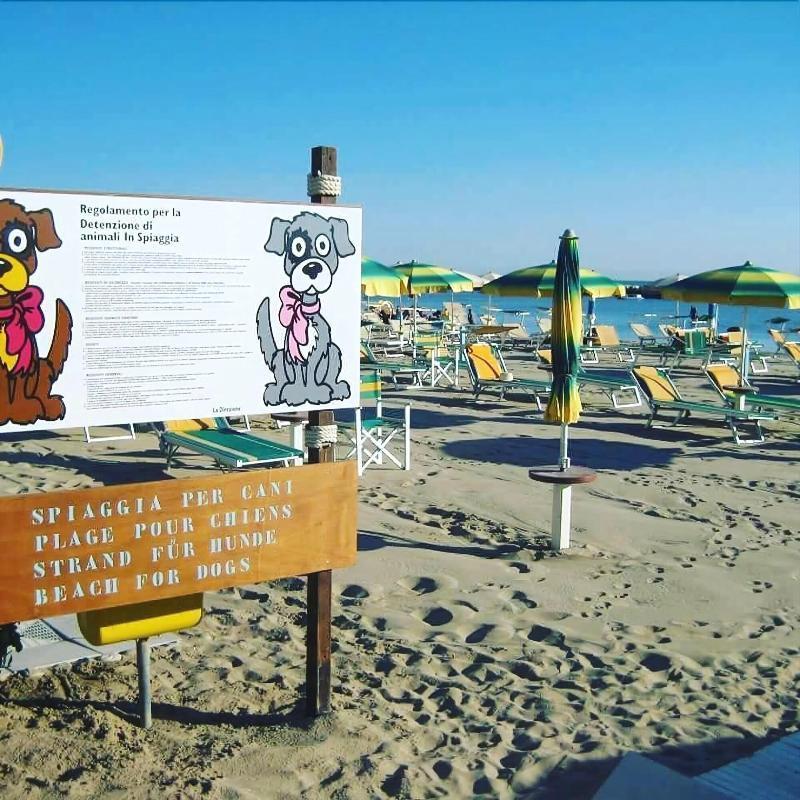 Hotel Alsen Rimini Eksteriør bilde